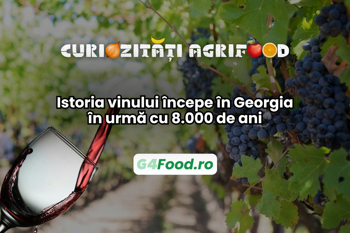 Istoria vinului începe în Georgia în urmă cu 8.000 de ani/ Puțini știu, dar de aici provin cele mai vechi dovezi arheologice de vinificație