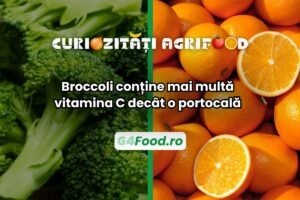 Broccoli crud are mai multă vitamina C decât o portocală