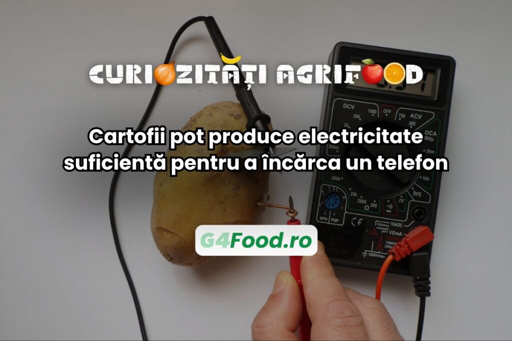 Cartoful produce energie electrică