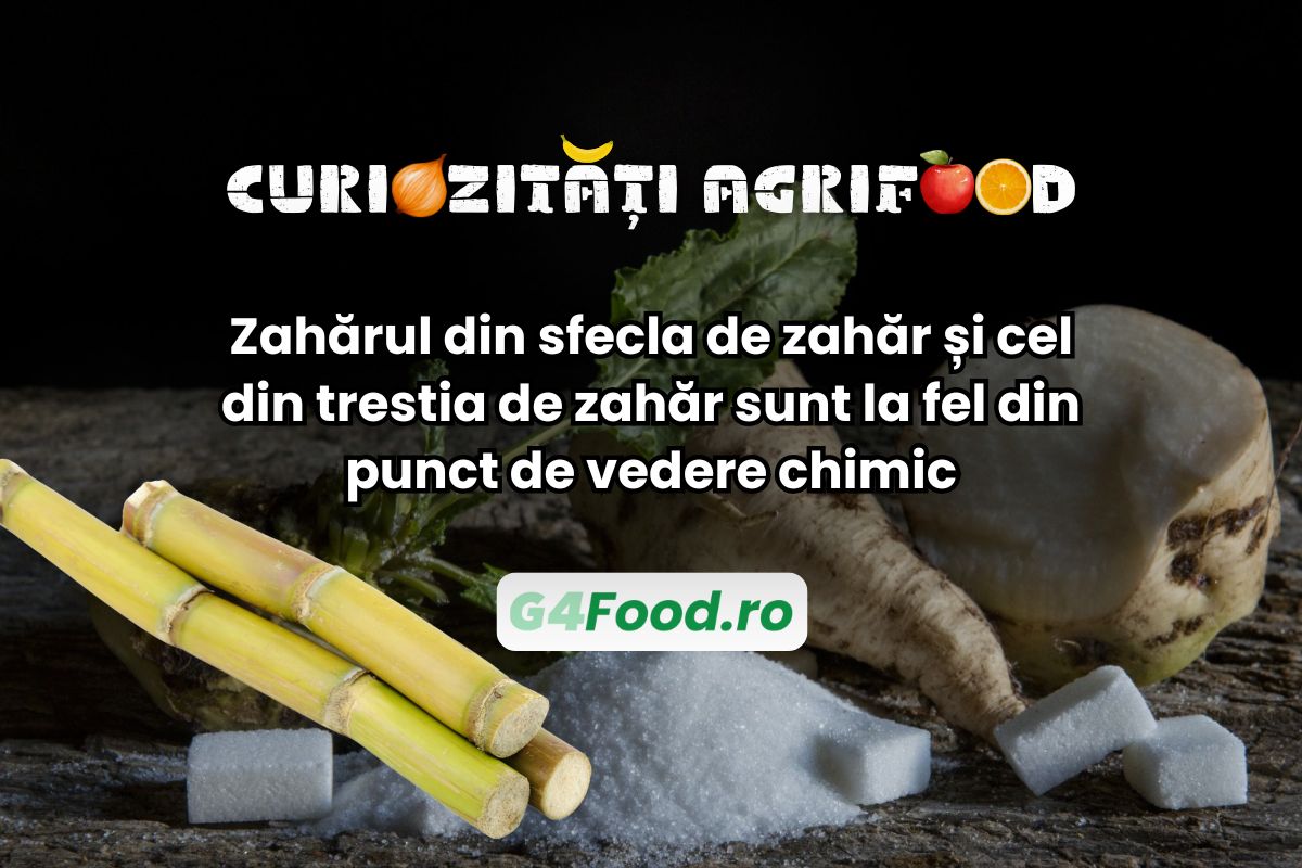 Zahărul din sfeclă și cel din trestie au aceeași compoziție