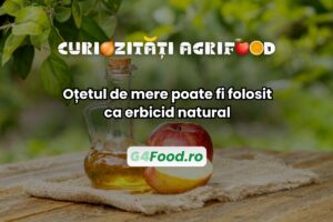 Oțetul de mere poate fi folosit ca erbicid natural