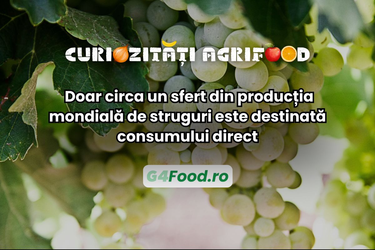 G4FOOD Curiozități agrifood2