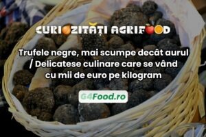 Trufele negre sunt mai scumpe ca aurul