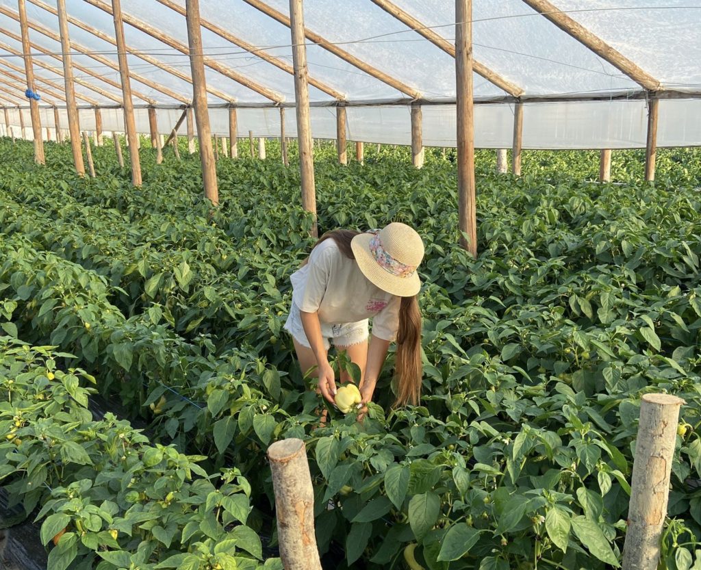 Raluca-Ioana Juncanariu