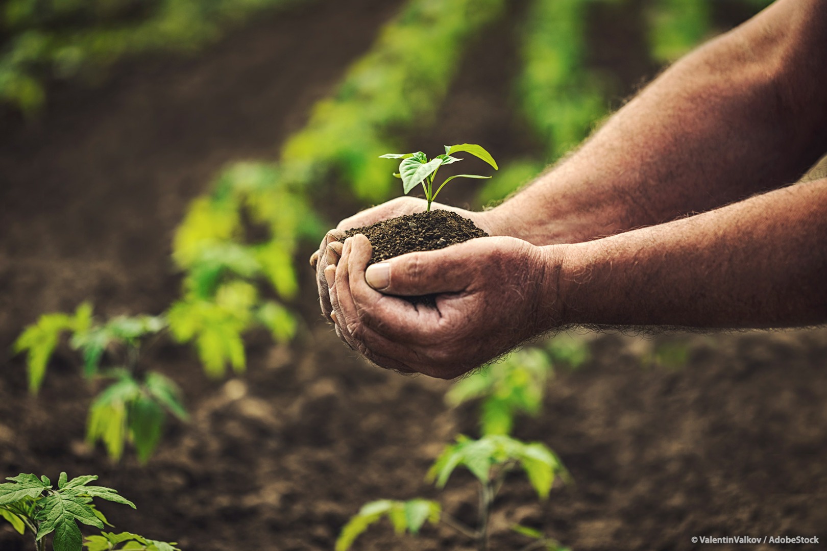 Reforma Politicii Agrare Comune