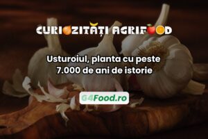Usturoiul este cultivat de peste 7.000 de ani
