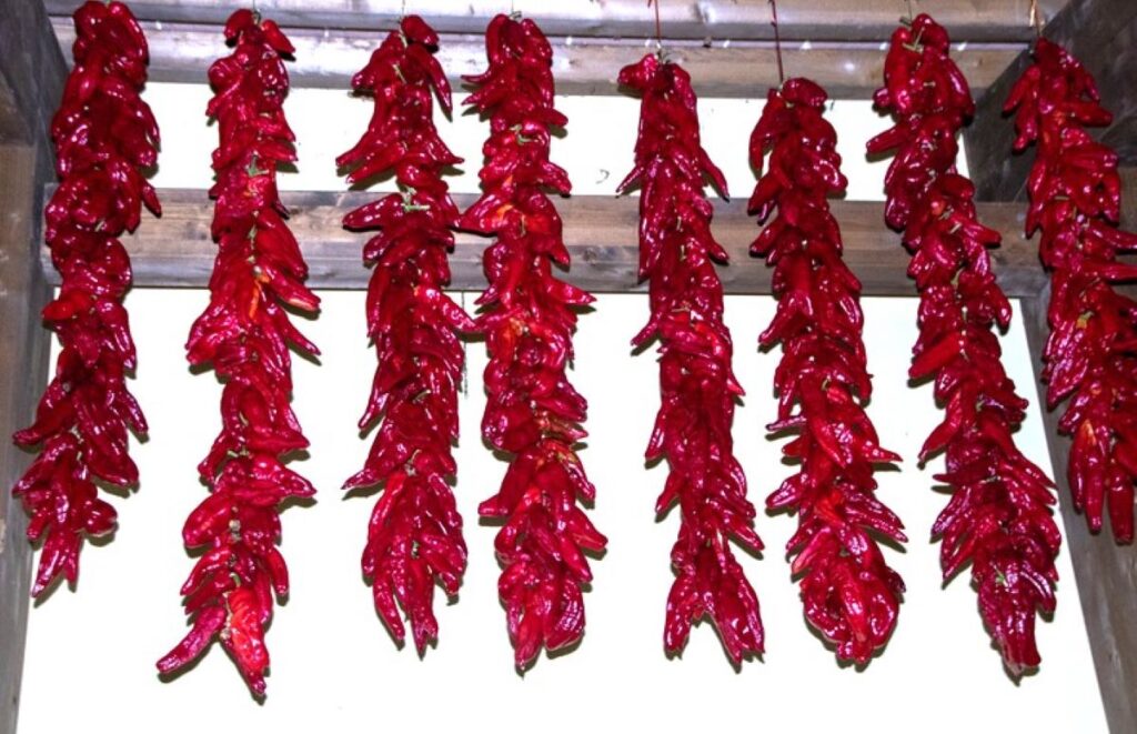 ardei-deshidratati-metoda-cu-care-italienii-fac-din-ardei-kapia-delicatese-pentru-iarna-peperone-crusco-uscati-apoi-prajiti-foarte-rapid