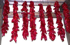 ardei-deshidratati-metoda-cu-care-italienii-fac-din-ardei-kapia-delicatese-pentru-iarna-peperone-crusco-uscati-apoi-prajiti-foarte-rapid