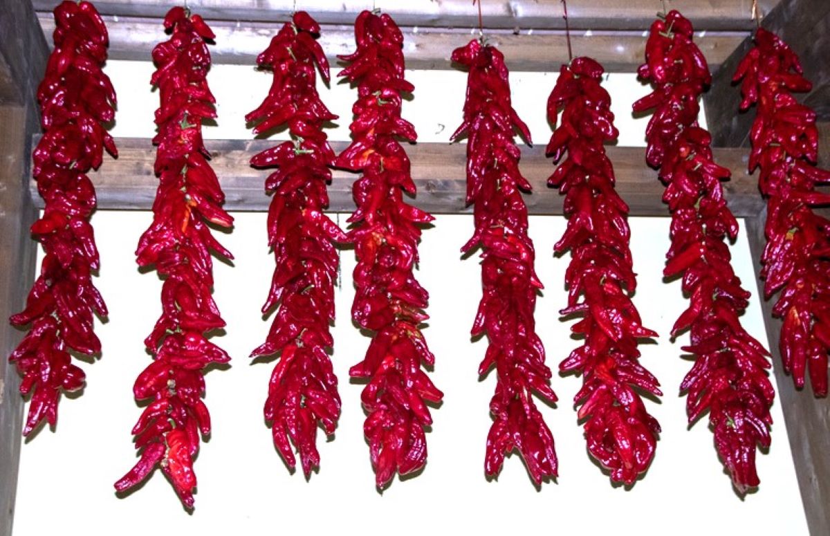 ardei-deshidratati-metoda-cu-care-italienii-fac-din-ardei-kapia-delicatese-pentru-iarna-peperone-crusco-uscati-apoi-prajiti-foarte-rapid