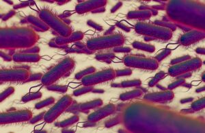 pesticidele-altereaza-profund-echilibrul-florei-intestinale-cu-consecinte-asupra-sanatatii-inca-insuficient-intelese-arata-un-studiu