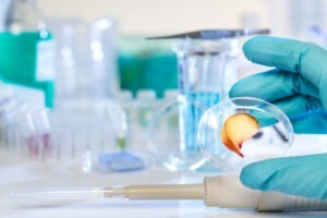 Fructe și legume create în laborator