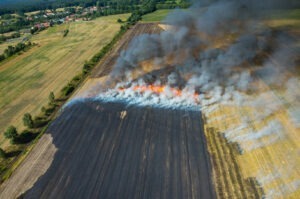 Un incendiu d vegetație uscată a afectat culturi agricole
