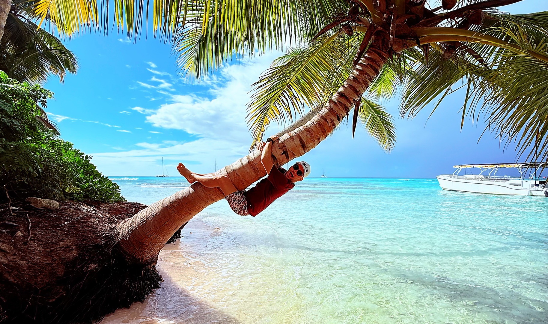 Ionuț Gheorghe, prezentator TV