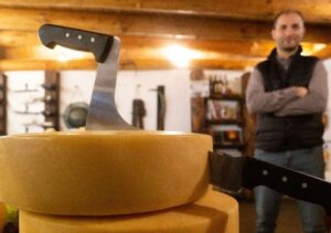 ce-lipseste-din-peisajul-lactatelor-romanesti-interviu-marian-damu-consultant-branzeturi-maturate