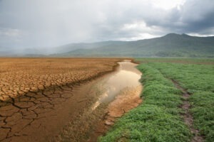 Germania se confruntă cu secetă produsă de schimbările climatice