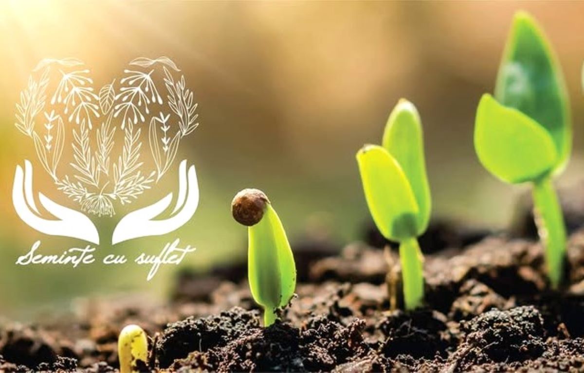 festivalul-tomatelor-si-al-biodiversitatii-dedicat-pasionatilor-de-gradinarit-muzeul-satului