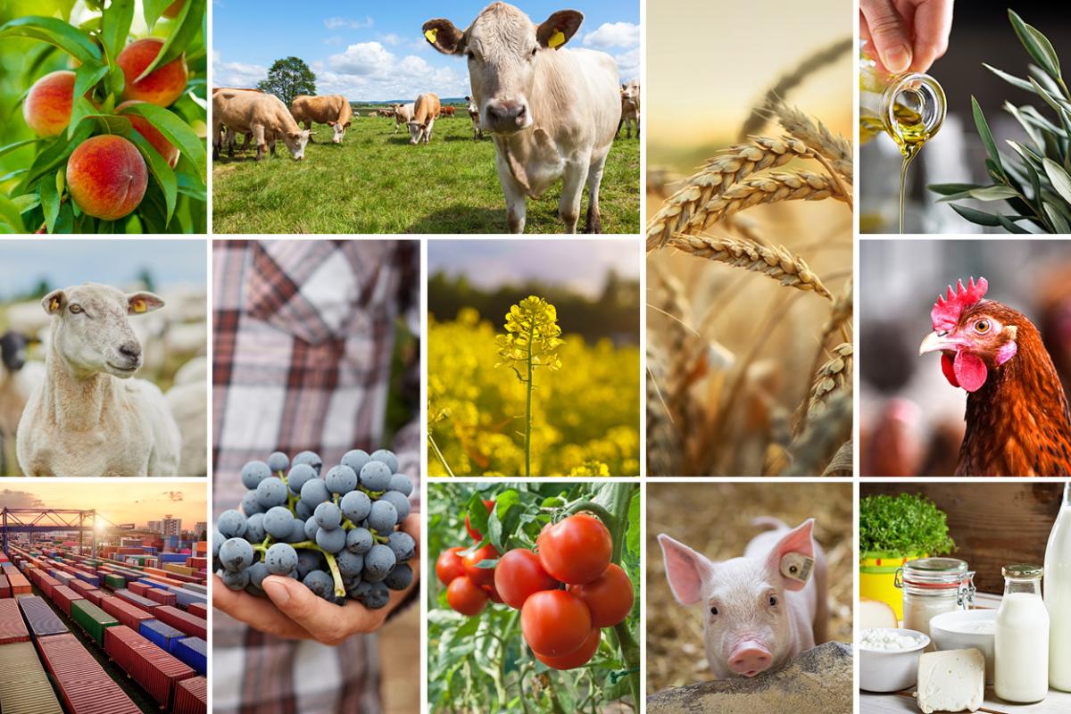 Perspectivele pieței agricole din UE