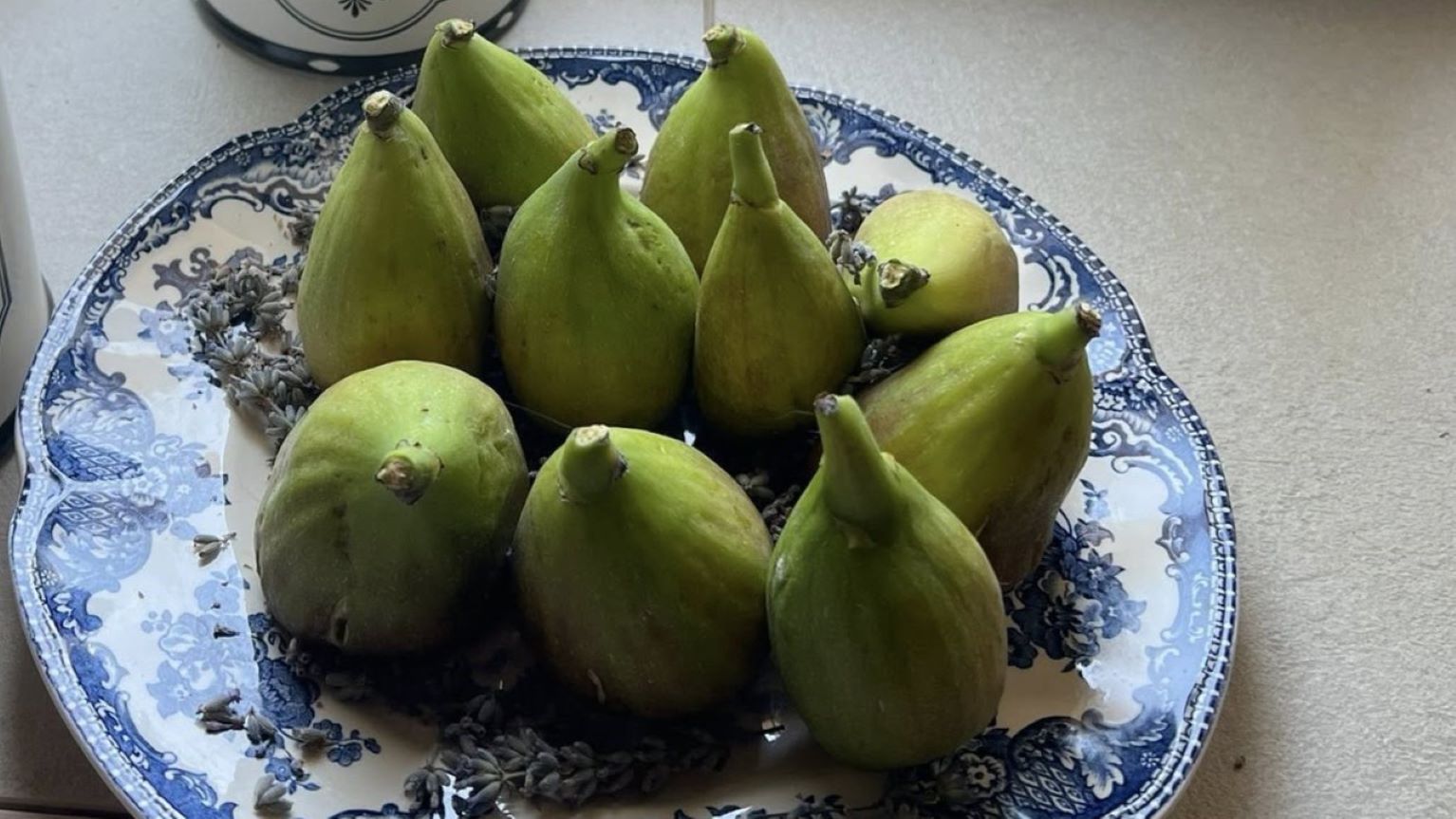 Actrița Oana Pellea entuziasmată de abundența de fructe a smochinului său.