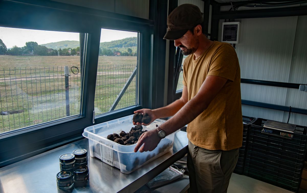 povestea-lui-mihai-constantinescu-si-al-brandului-pe-care-l-a-creat-lunas-premium-truffles