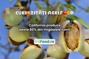 California este lider în producția de migdale