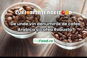curiozitati-agrifood-de-unde-vin-denumirile-de-cafea-arabica-si-cafea-robusta