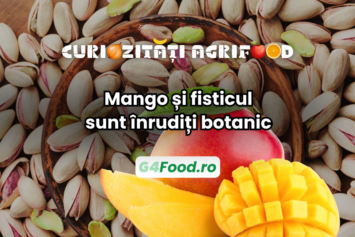 Mango și fisticul sunt înrudite botanic