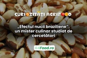 Efectul nucii braziliene este un fenomen fizic ilogic