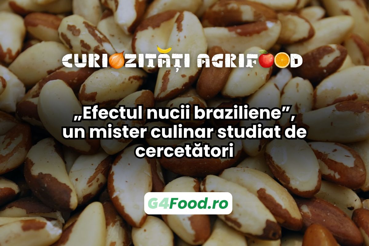 Efectul nucii braziliene este un fenomen fizic ilogic