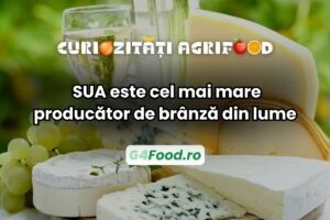 SUA sunt cel mai mare producător de brânză