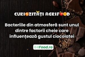 bacteriile-din-atmosfera-sunt-unul-dintre-factorii-cheie-care-influenteaza-gustul-ciocolatei