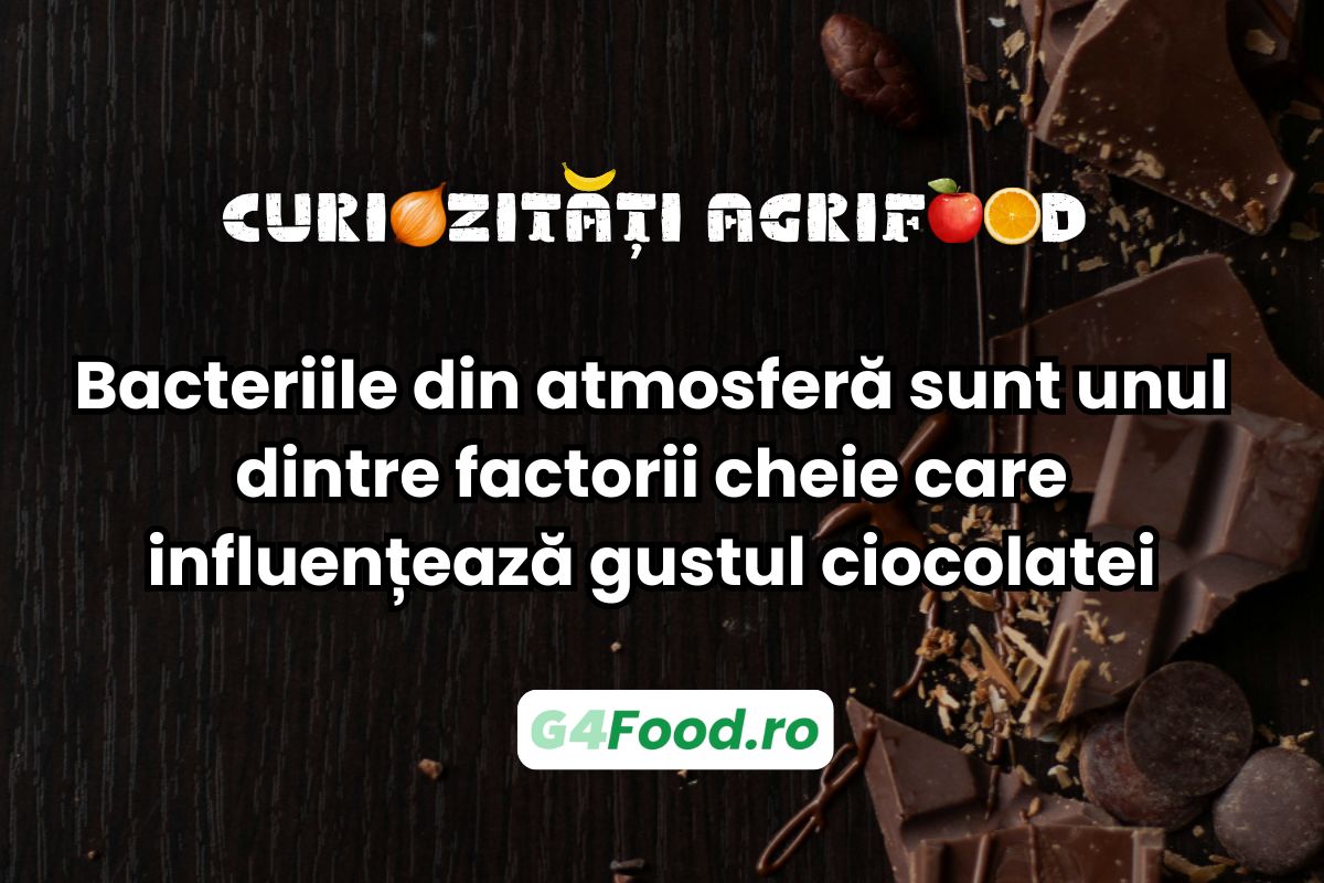 bacteriile-din-atmosfera-sunt-unul-dintre-factorii-cheie-care-influenteaza-gustul-ciocolatei