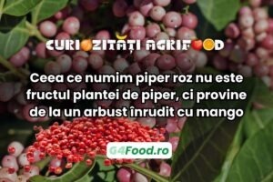 piperul roz nu este fructul plantei de piper, ci provine de la un arbust înrudit cu mango