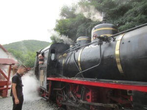 Cu mocănița, din Evul Mediu în Pădurea Fermecată