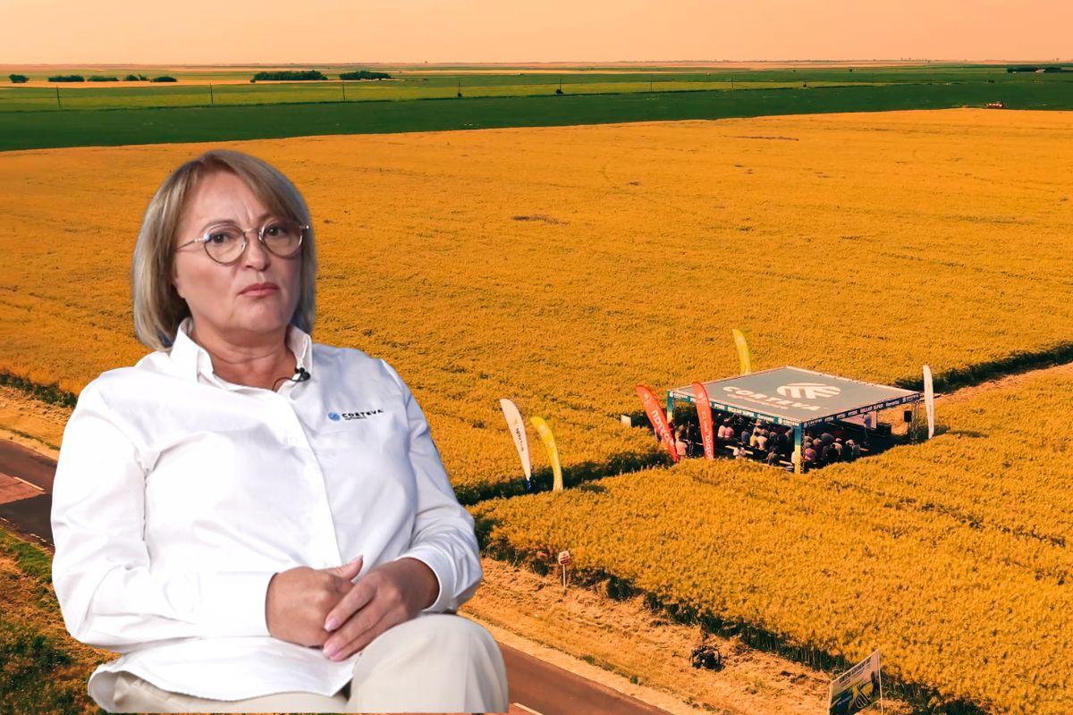 Maria Cîrjă director marketing Corteva seceta