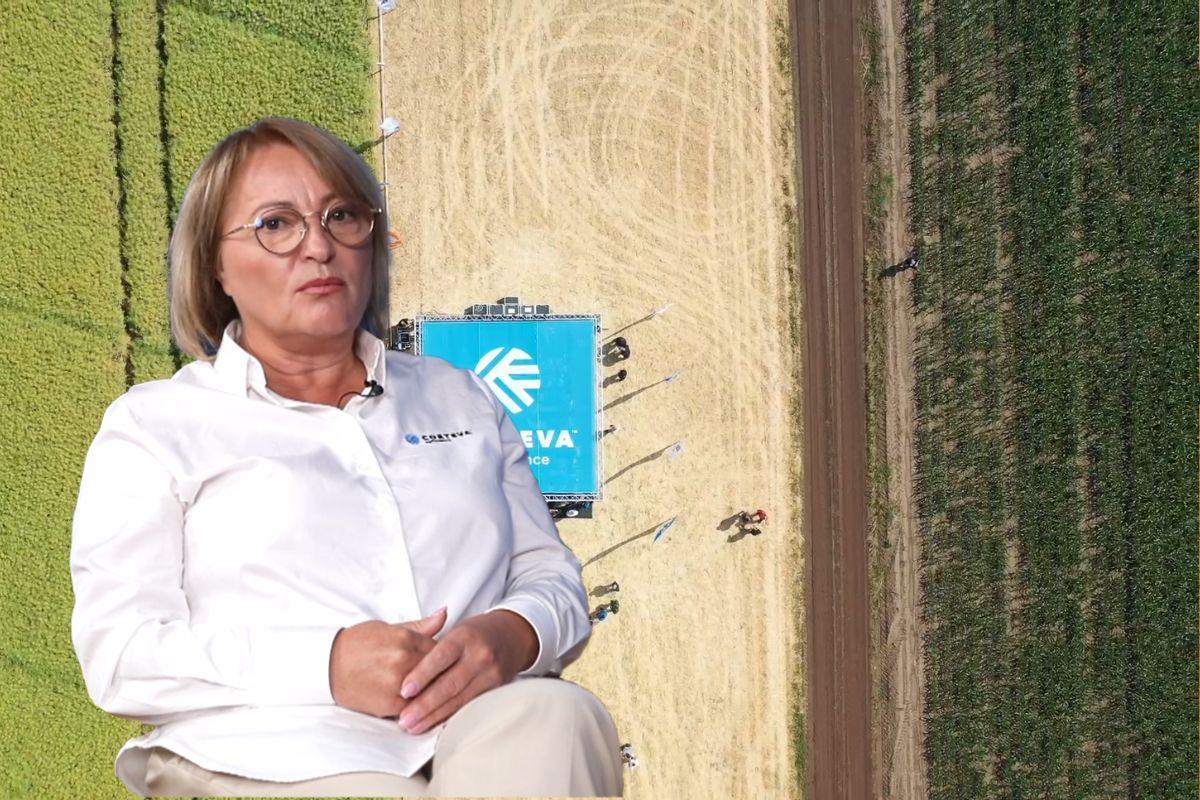 Maria Cirja Agricultura in schimbare porumb