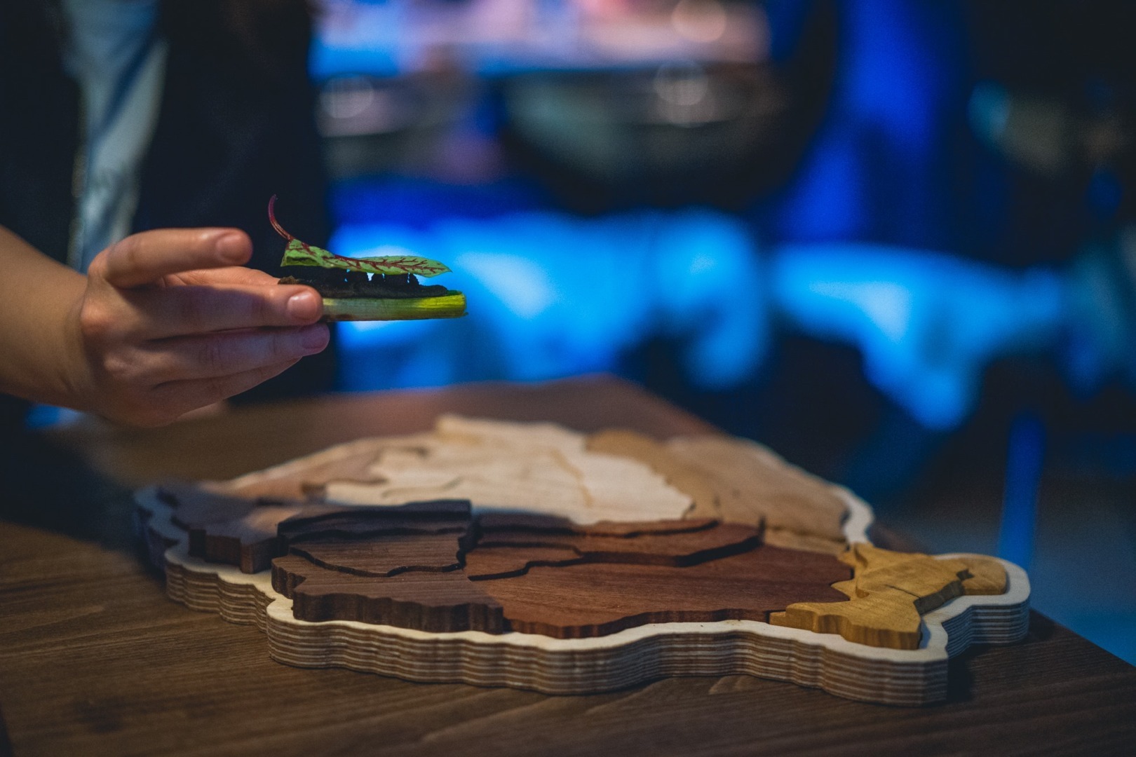 NOUA. Bucatarie romaneasca