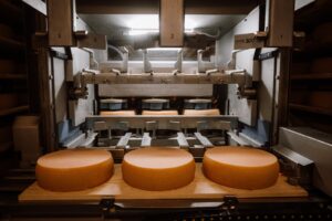 Diferența dintre lactate și brânzeturi