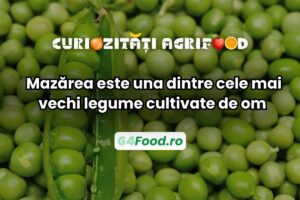 Mazărea este una dintre primele plante cultivate de om