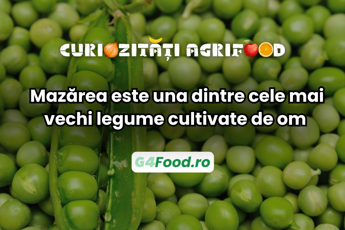 Mazărea este una dintre primele plante cultivate de om