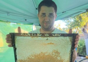 Andrei Morozan, inginerul agronom care a inventat un cântar inteligent pentru apicultură