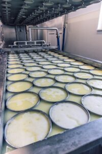 cum-a-pornit-la-drum-fabrica-de-branzeturi-maturate-Arkase-si-care-sunt-planurile-de-viitor