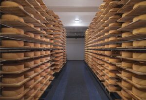 cum-a-pornit-la-drum-fabrica-de-branzeturi-maturate-Arkase-si-care-sunt-planurile-de-viitor