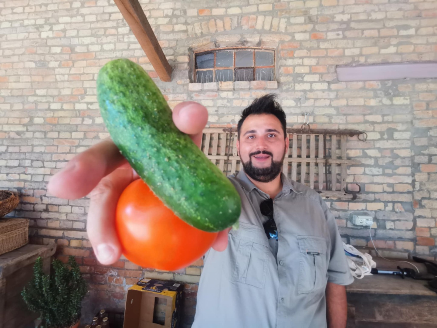 Bogdan Văcărescu legume