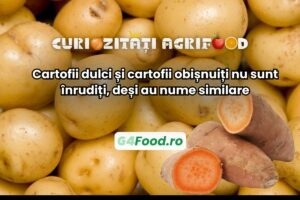 Cartofii dulci și cei obișnuiți nu se înrudesc