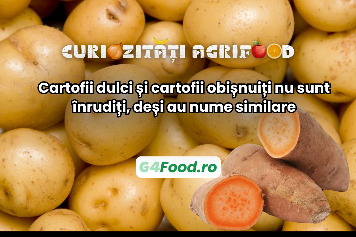 Cartofii dulci și cei obișnuiți nu se înrudesc