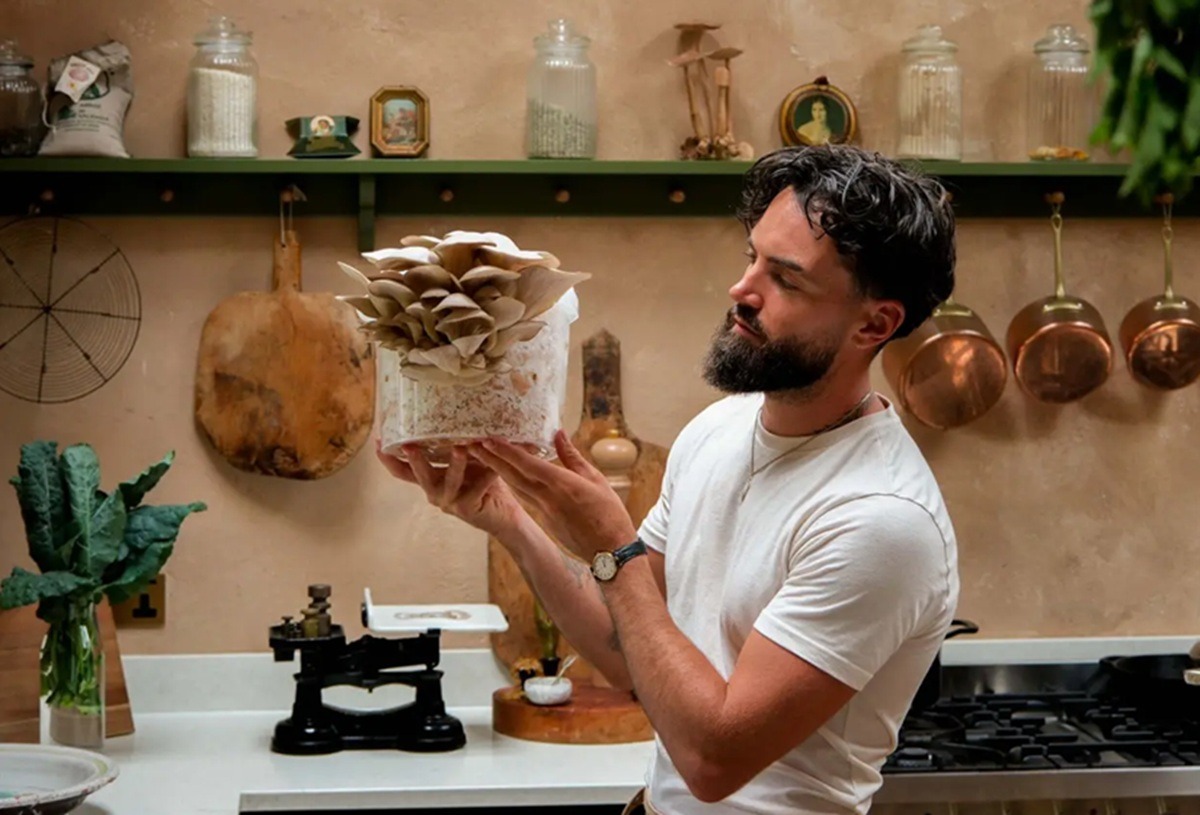 Ciuperci crescute acasă, fără lumină