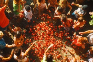 tomatina sarbatoare rosii