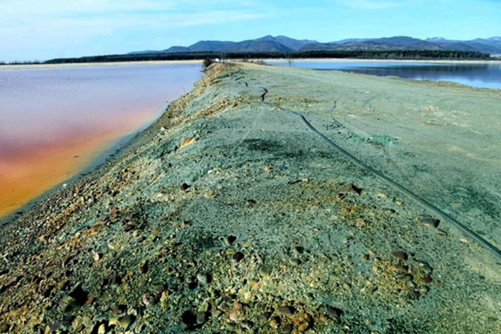 Metalele grele din iazurile de steril ajung la noi în farfurie