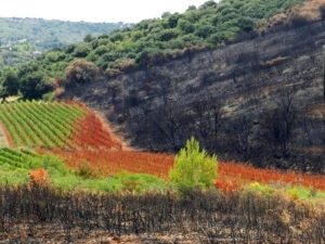Guvernul francez alocă 8 milioane de euro pentru incendiul din Aude