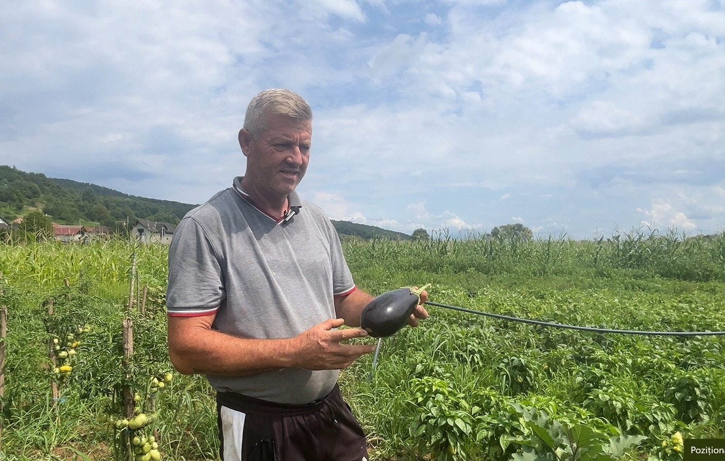 Ioan Vele cultivă legume bio